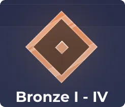 Bronze Level