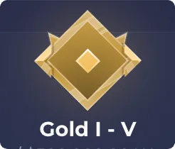 Gold Level