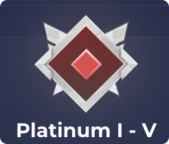 Platinum Level