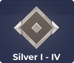 Silver Level